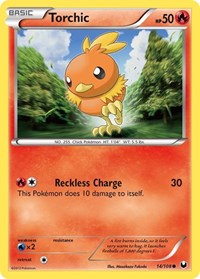 Torchic (14)